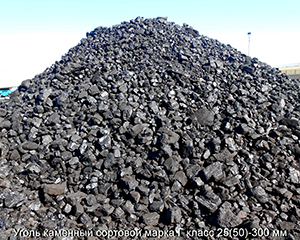 Coal